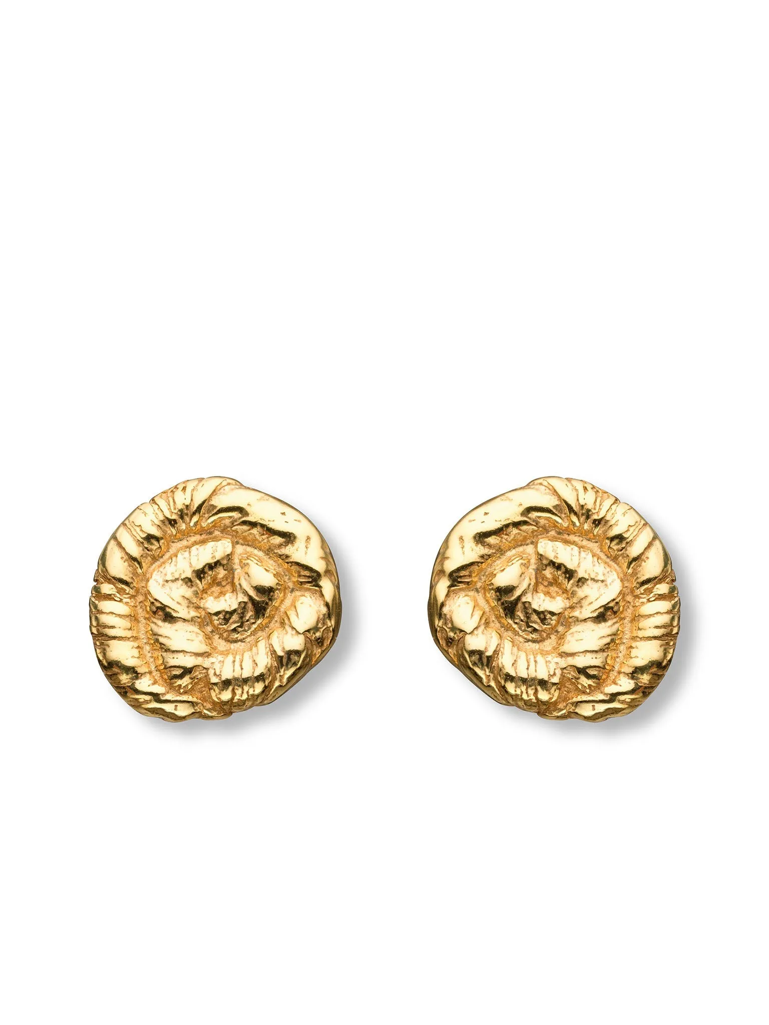 Nautilus Earrings