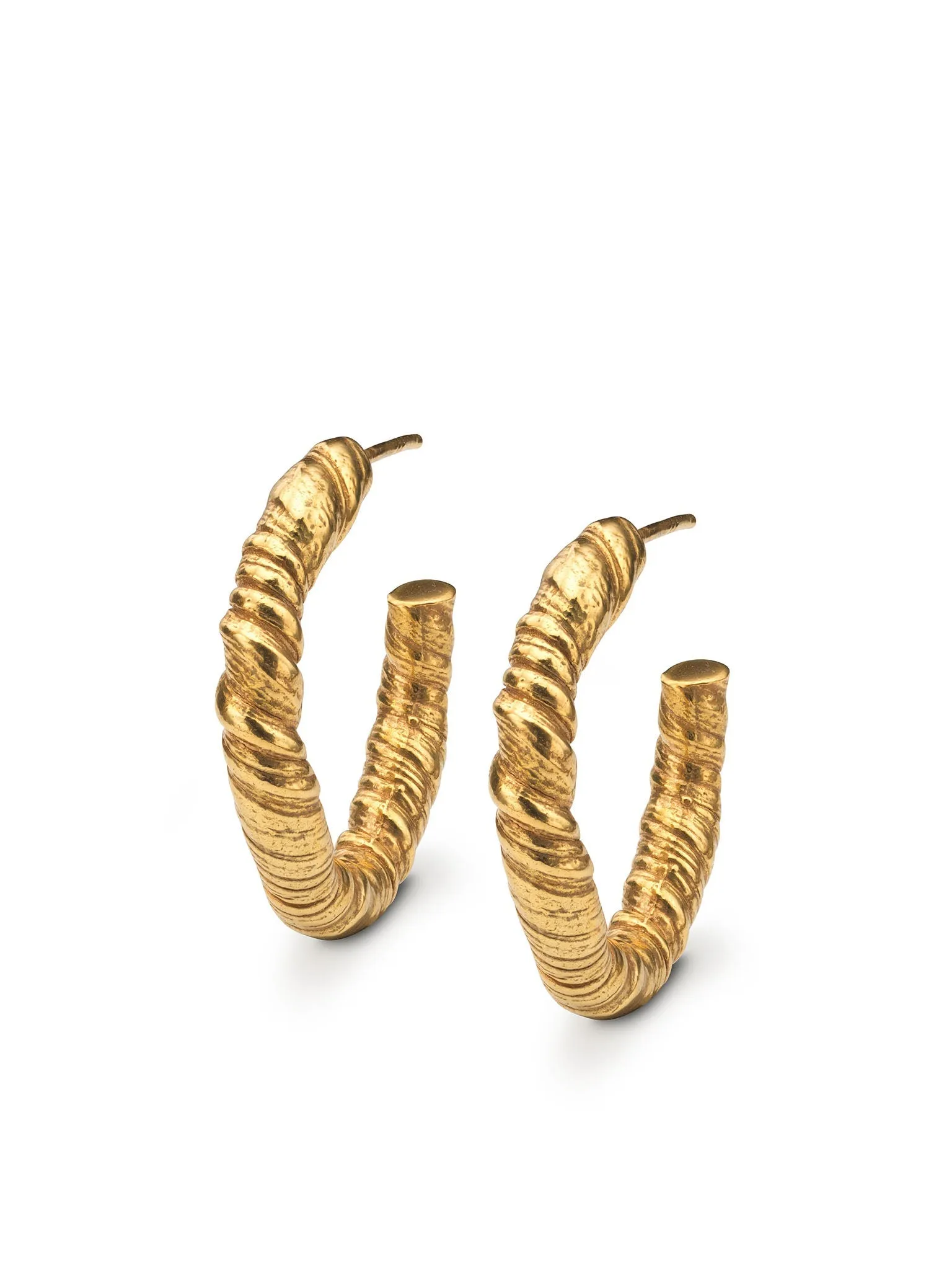 Nautilus Hoop Earrings