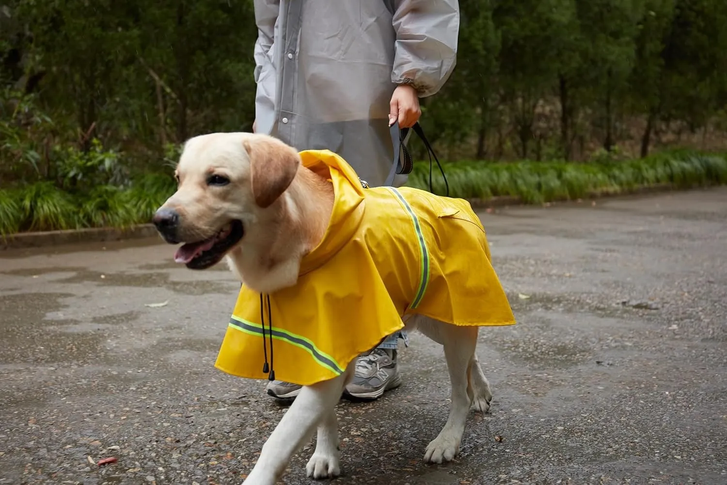 Waterproof Dog Raincoat